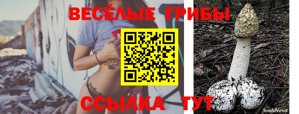 МЕФ   Куйбышев  Гашиш  Вход с VPN  Бошки Шишки  КОКАИН  Меф  ГАШИШ 