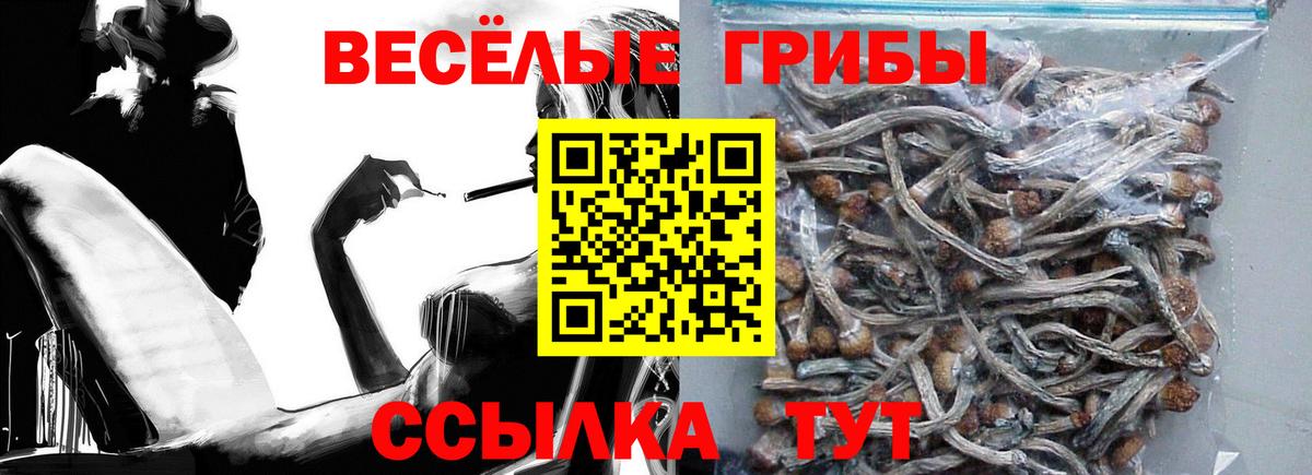 Псилоцибиновые грибы Magic Shrooms  Вход с VPN  Куйбышев  Галлюциногенные грибы Psilocybine cubensis 