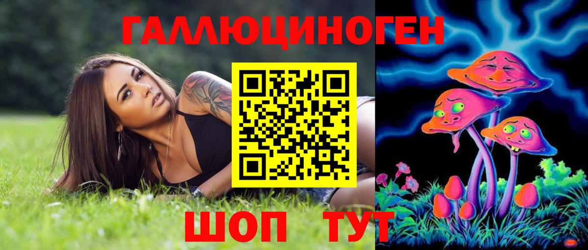 Галлюциногенные грибы Psilocybe Куйбышев